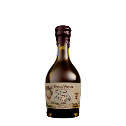 Time Travel IV 330ml