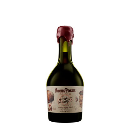 Time Travel III 330ml